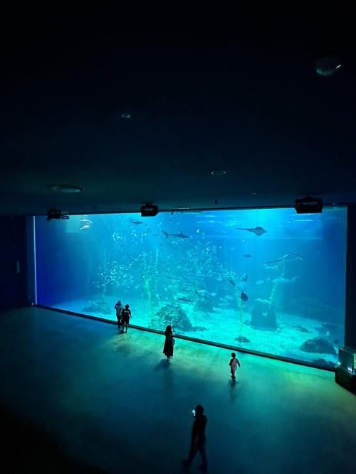 給我推薦一些潮州的水族館（廣東潮州水族館推薦）