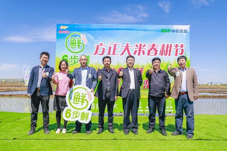 金龍魚領導班子（金龍魚領導班子成員的任期）