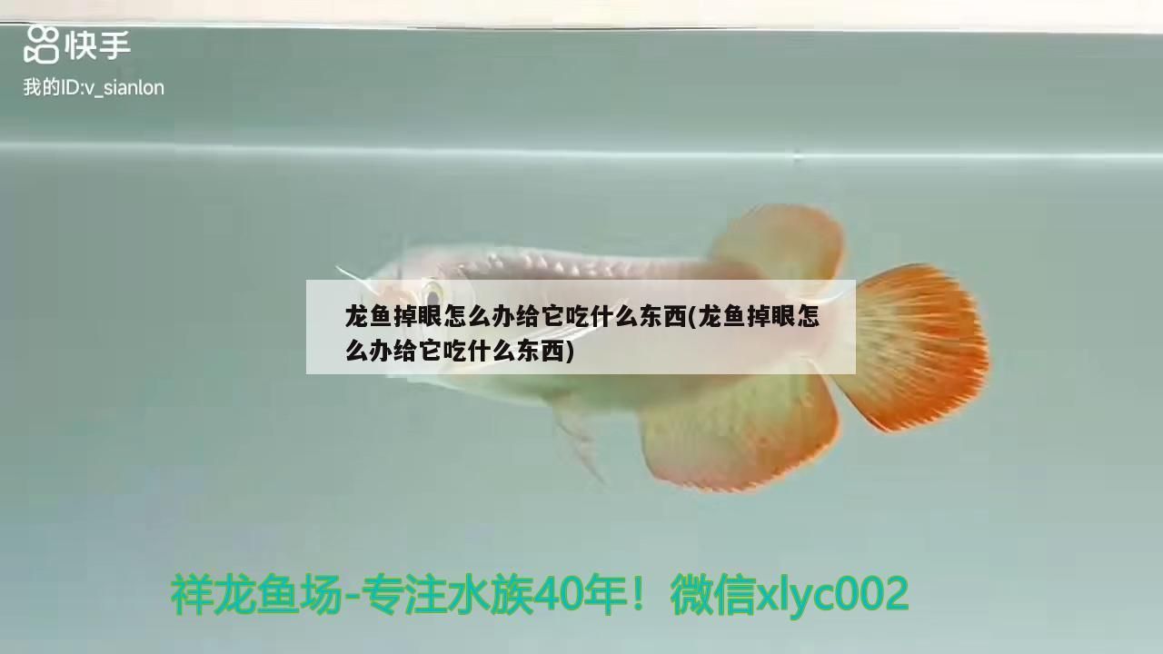 煙火牌超白魚缸和煙火超白魚缸哪個(gè)是正規(guī)的對應(yīng)信息，煙火牌超白魚缸和煙火超白缸哪個(gè)是正規(guī)的對應(yīng)信息 煙火牌超白魚缸和煙火超白魚缸哪個(gè)是正規(guī)的對應(yīng)信息，煙火牌超白魚缸和煙火超白缸哪個(gè)是正規(guī)的對應(yīng)信息 觀賞魚百科 第2張