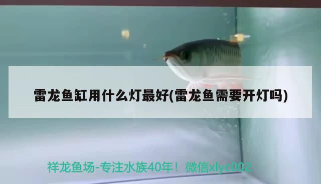 煙火牌超白魚缸和煙火超白魚缸哪個(gè)是正規(guī)的對應(yīng)信息，煙火牌超白魚缸和煙火超白缸哪個(gè)是正規(guī)的對應(yīng)信息 煙火牌超白魚缸和煙火超白魚缸哪個(gè)是正規(guī)的對應(yīng)信息，煙火牌超白魚缸和煙火超白缸哪個(gè)是正規(guī)的對應(yīng)信息 觀賞魚百科 第1張