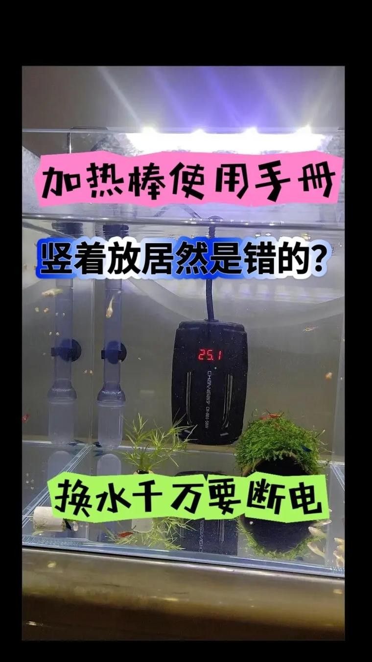 龍魚缸需要多大的加熱棒（魚缸加熱棒功率怎么選擇魚缸加熱棒有哪些分類）