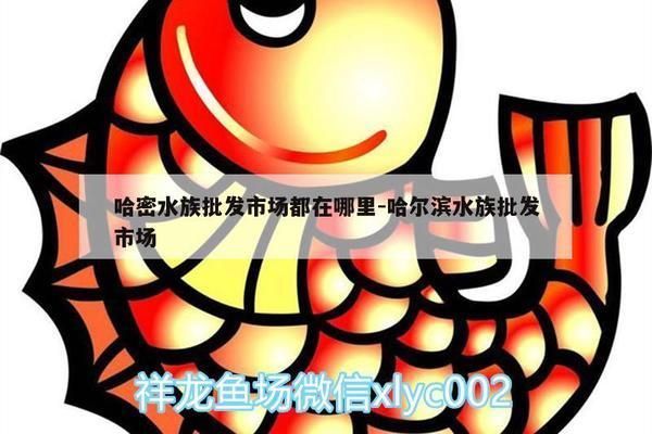 哈密觀賞魚批發市場：哈密什么地方做的魚好吃