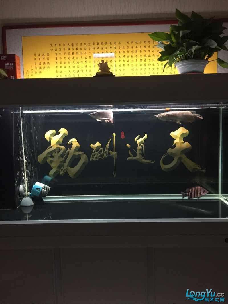晚上曬魚（曬魚的歷史背景）