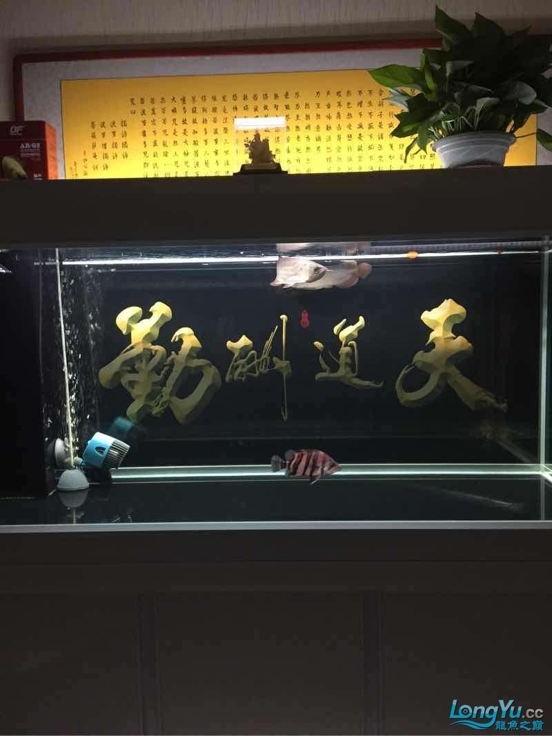 晚上曬魚（曬魚的歷史背景）