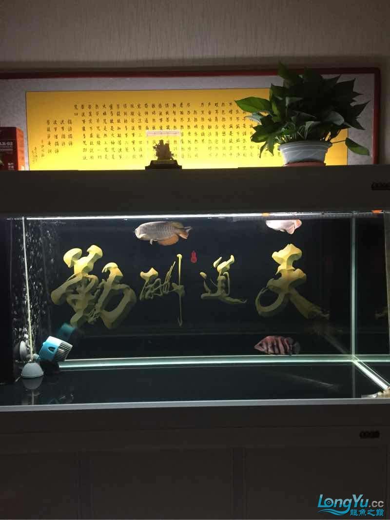 晚上曬魚（曬魚的歷史背景）