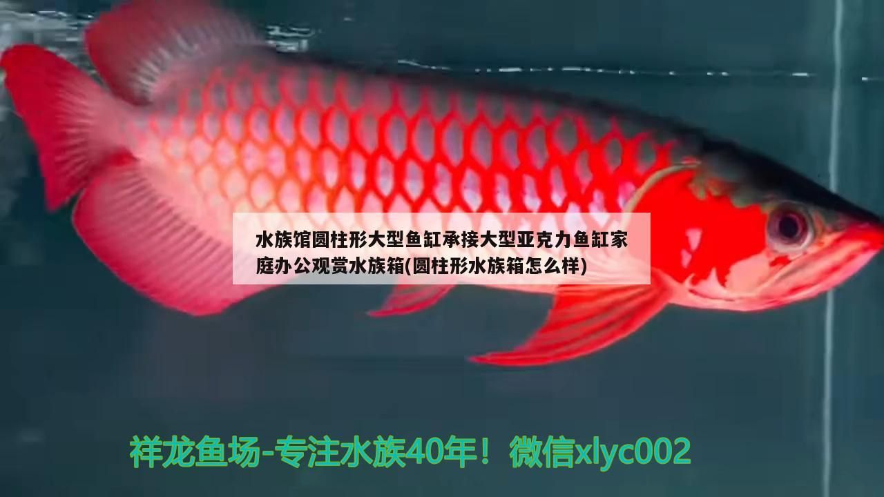 水族館圓柱形大型魚缸承接大型亞克力魚缸家庭辦公觀賞水族箱(圓柱形水族箱怎么樣)（水族館圓柱形大型魚缸承接大型亞克力魚缸）