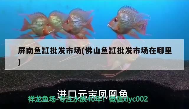 屏南魚缸批發(fā)市場(chǎng)(佛山魚缸批發(fā)市場(chǎng)在哪里)（屏南魚缸批發(fā)市場(chǎng)）