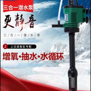龍骨木魚缸造景效果圖片（龍骨木的功效）