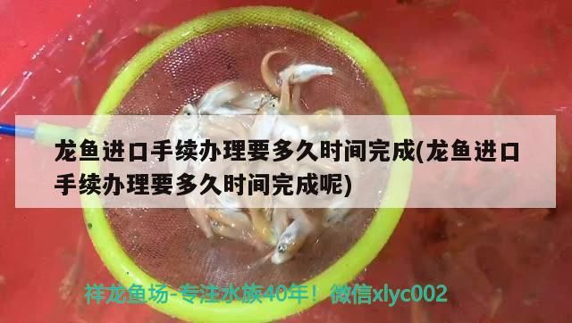 南寧龍魚價格查詢表圖片：南寧廣龍魚（2016款南寧市龍魚價格查詢表：南寧市龍魚2.5l發動機）