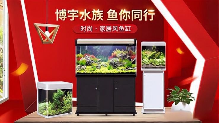 森森和博宇哪個牌子更好（森森和博宇哪個好）