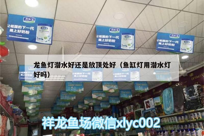龍魚燈潛水好還是放頂處好（魚缸燈用潛水燈好嗎）（魚缸燈用潛水燈好還是放頂處好）