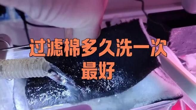清洗過濾棉時需要注意什么（清洗過濾棉的正確方法）