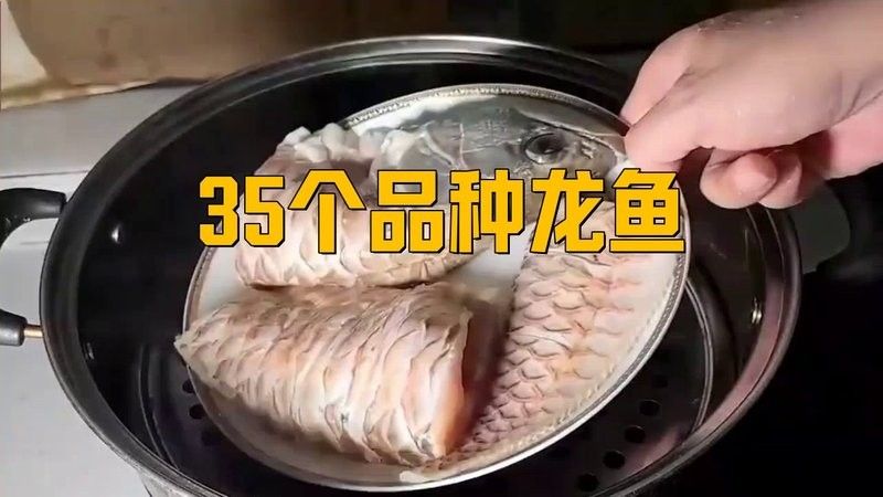 十種龍魚視頻推薦（10種龍魚視頻推薦）