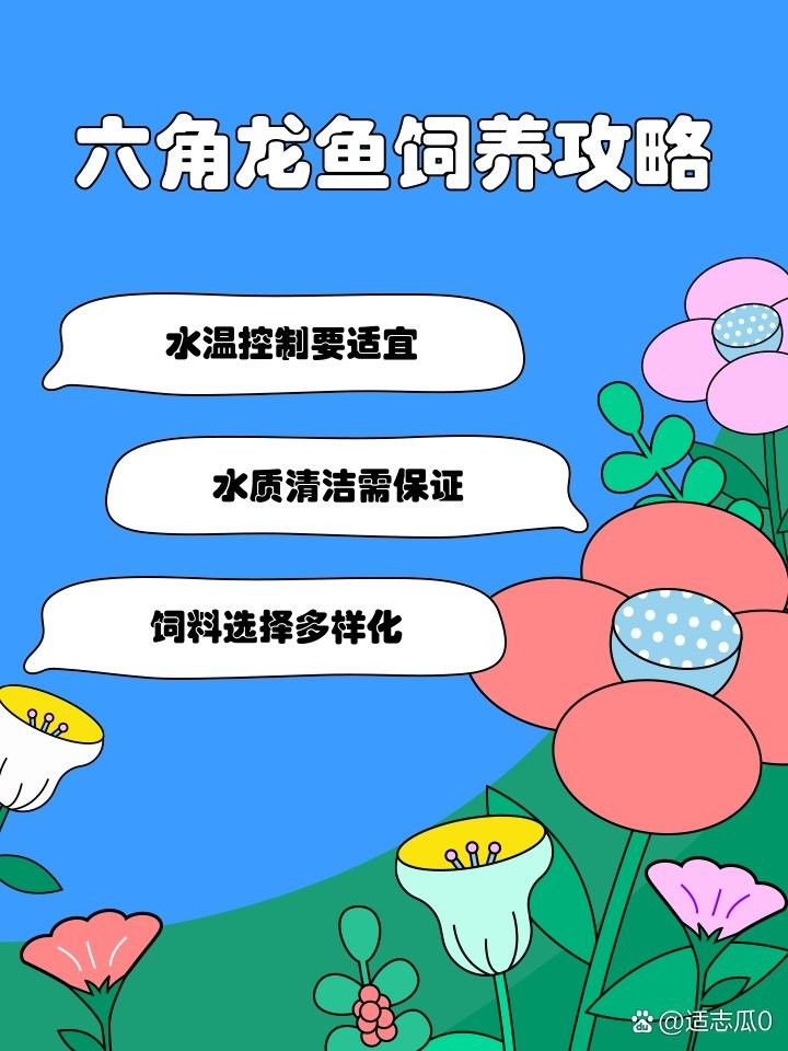 六角龍魚腿爛了多久會好