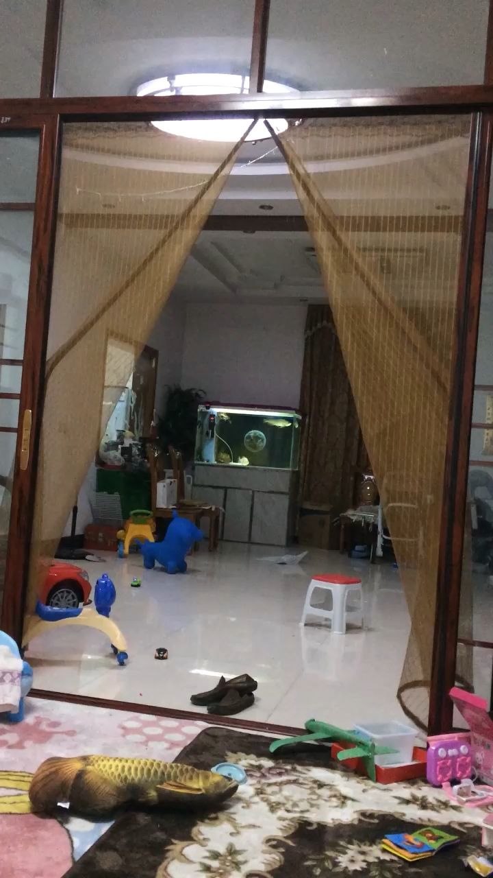帶帶娃，賞賞魚（有娃陪，有魚賞，生活豈不是悠哉悠哉,抽獎絕緣體）