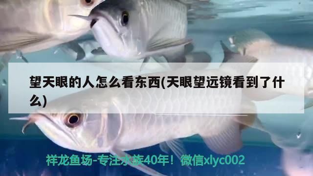 望天眼的人怎么看東西(天眼望遠鏡看到了什么)