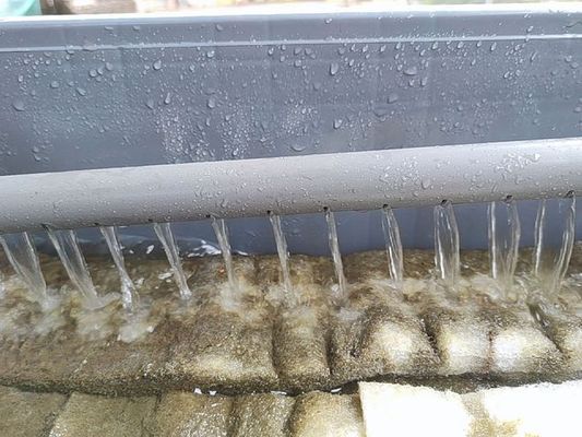 為什么龍魚會跳缸的原因分析（為什么龍魚會跳缸的原因分析圖）（為什么龍魚會跳缸）