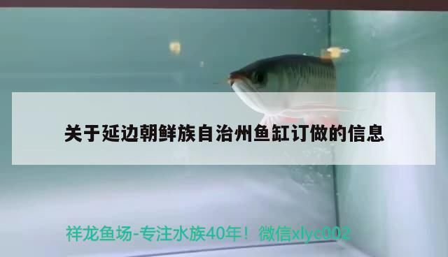 鑒定（鑒定技術在教育中的應用與挑戰）