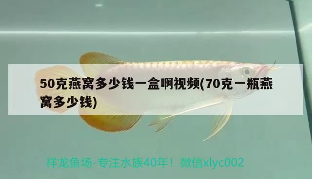 50克燕窩多少錢一盒啊視頻(70克一瓶燕窩多少錢)