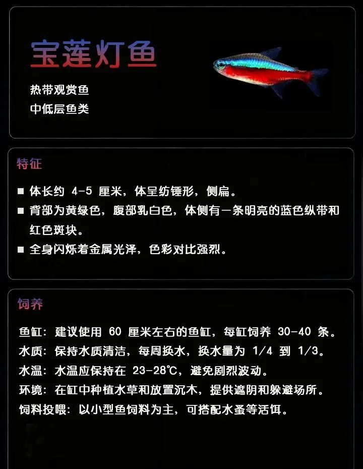 水族燈病最怕三個東西（關于水族燈病最怕的三個東西）