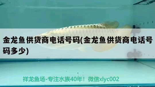 金龍魚供貨商電話號碼(金龍魚供貨商電話號碼多少)（益海嘉里金龍魚供貨商電話號碼和金龍魚供貨商電話號碼）