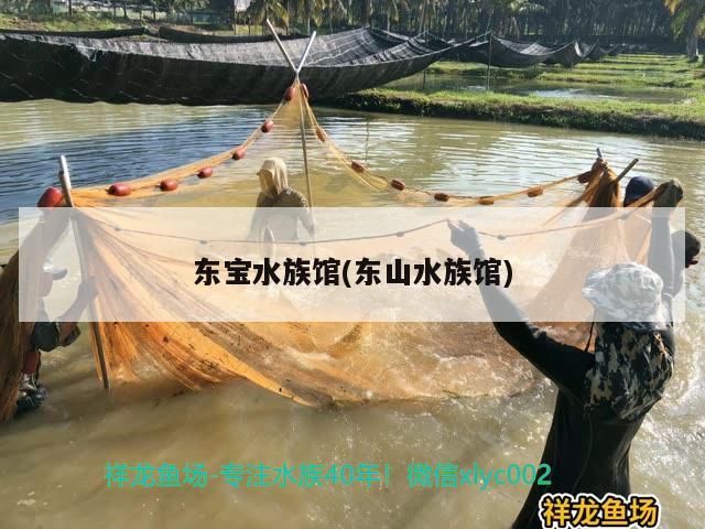 東寶水族館(東山水族館)