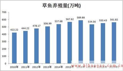 紅龍魚黑缸和白缸的區別在哪：紅龍魚在黑缸和白缸中的水質管理有何不同，紅龍魚的飼養方法
