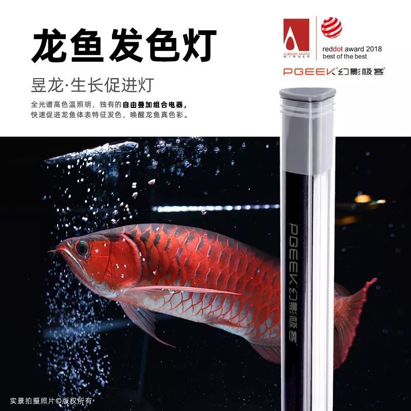 到手價僅239的龍魚發色燈（魚友幻影極客說今晚有直播，）