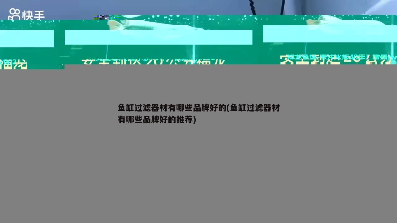 魚缸過濾器材有哪些品牌好的(魚缸過濾器材有哪些品牌好的推薦)