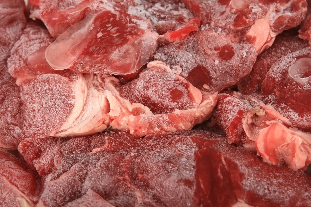 六角恐龍魚能不能吃豬肉，六角恐龍魚吃什么