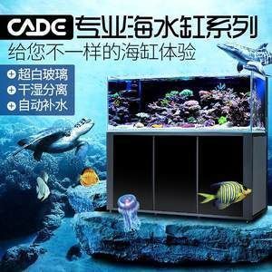 黃南藏族自治州花鳥魚蟲市場（黃南藏族自治州花鳥魚蟲市場在哪里）（青海黃南藏族自治州花鳥魚蟲市場是一個代表性的特色市場）