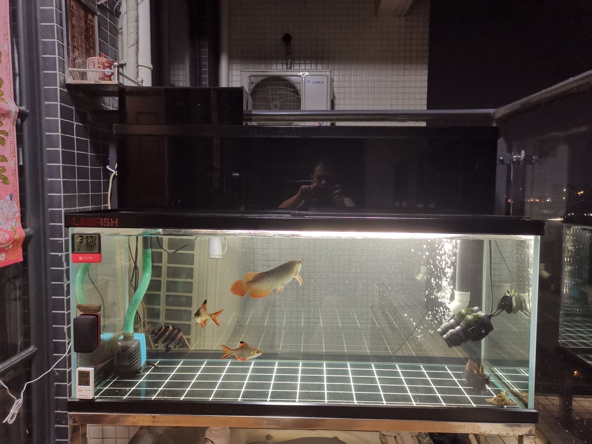 常州水族館各位早（常州水族館各位早,看下魚，上班去!）