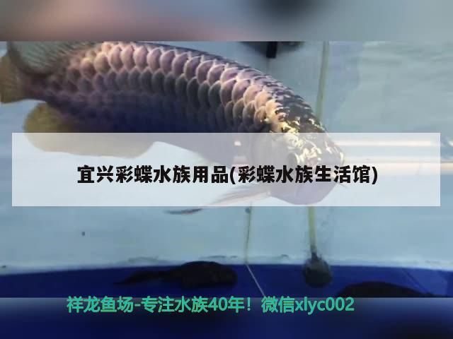 宜興彩蝶水族用品(彩蝶水族生活館)（宜興彩蝶水族用品）