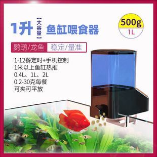 阿里龍魚專賣店：珠海龍魚專賣店如何選擇