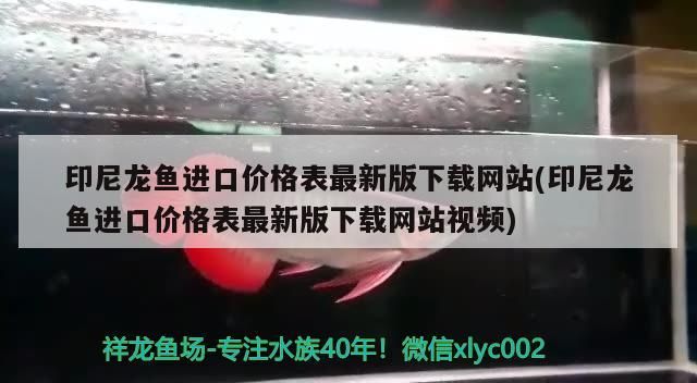 印尼龍魚進口價格表最新版下載網站(印尼龍魚進口價格表最新版下載網站視頻)