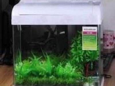 森森魚缸視頻（森森魚缸視頻紫色）