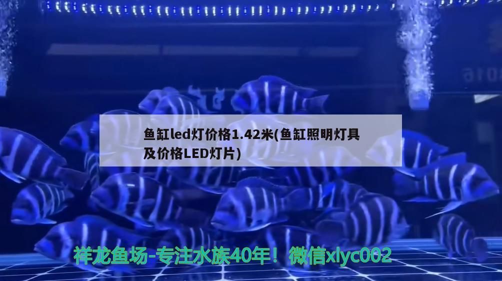 魚缸led燈價格1.42米(魚缸照明燈具及價格LED燈片)