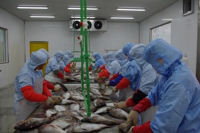寧德金盛水產總經理（寧德市金盛水產總經理尤信情涉及4次行政處罰是什么）