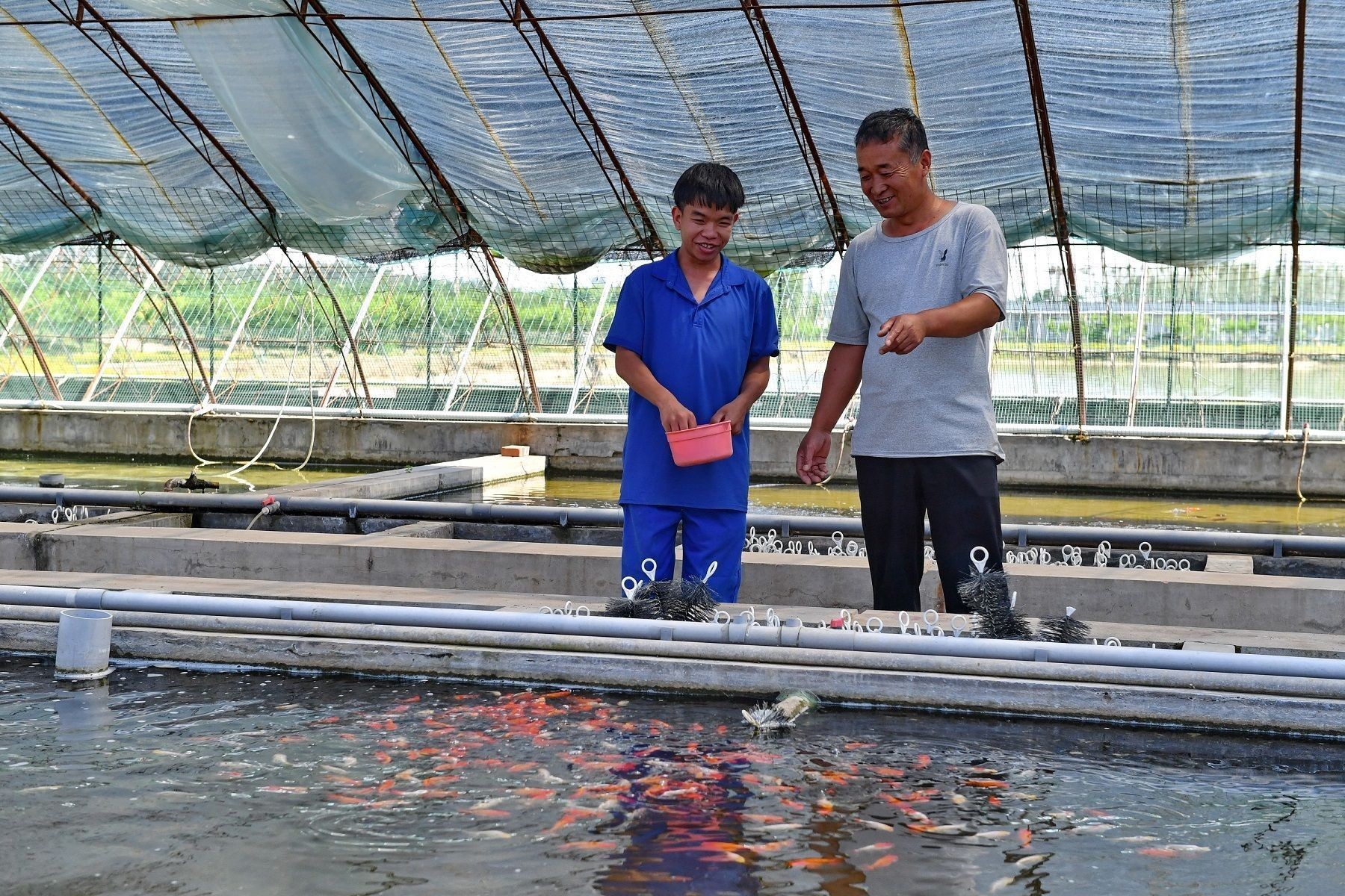黑莊戶觀賞魚市場怎么樣（<strong><mark>北京</mark></strong>黑莊戶觀賞魚市場）