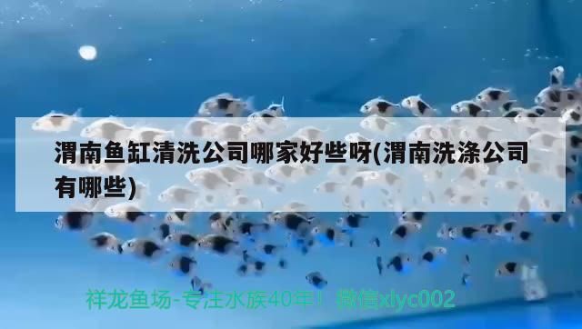 渭南魚缸清洗公司哪家好些呀(渭南洗滌公司有哪些)（渭南魚缸清洗公司）
