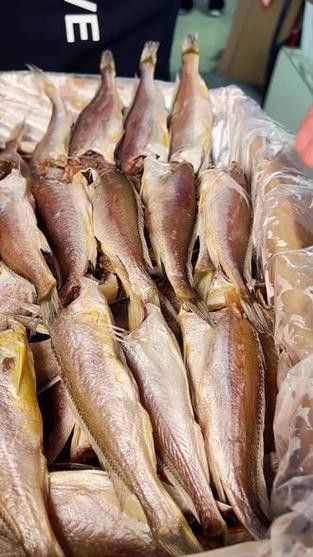 黃梅觀賞魚（黃梅觀賞魚的習性介紹和飼養方法和習性介紹）