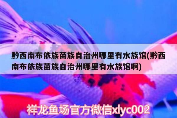 黔西南布依族苗族自治州哪里有水族館(黔西南布依族苗族自治州哪里有水族館啊)（青島黔西南布依族苗族自治州哪里有水族自治州哪里有水族館）