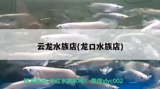 云龍水族店(龍口水族店)（上海龍口水族店、云龍水族店）