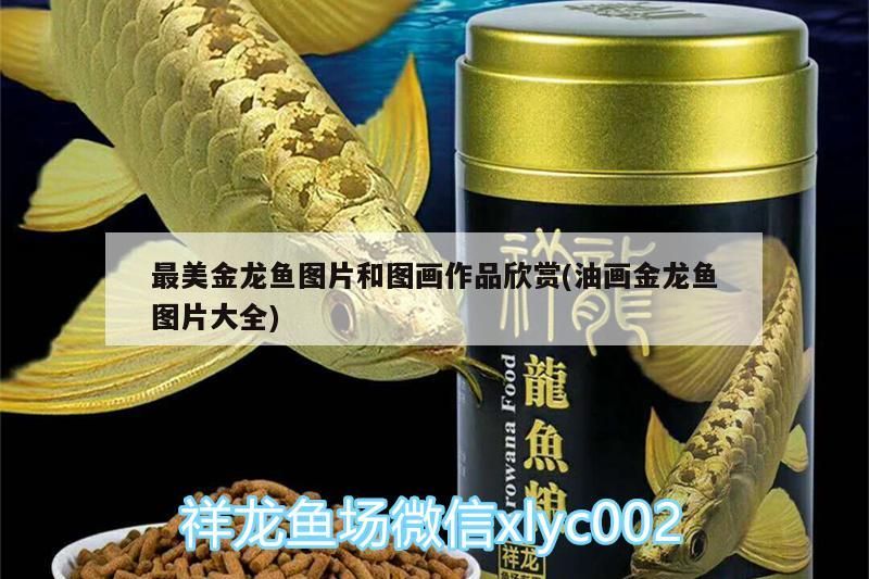 最美金龍魚(yú)圖片和圖畫(huà)作品欣賞(油畫(huà)金龍魚(yú)圖片大全)（最美金龍魚(yú)圖片）