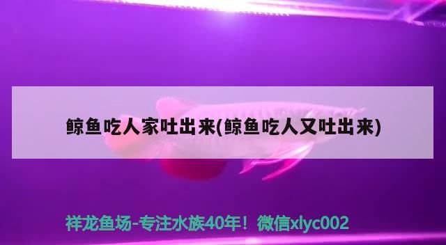 鯨魚吃人家吐出來(鯨魚吃人又吐出來)（鯨魚吃人又吐出來吐出來對應的信息，鯨魚吃人又吐出來）