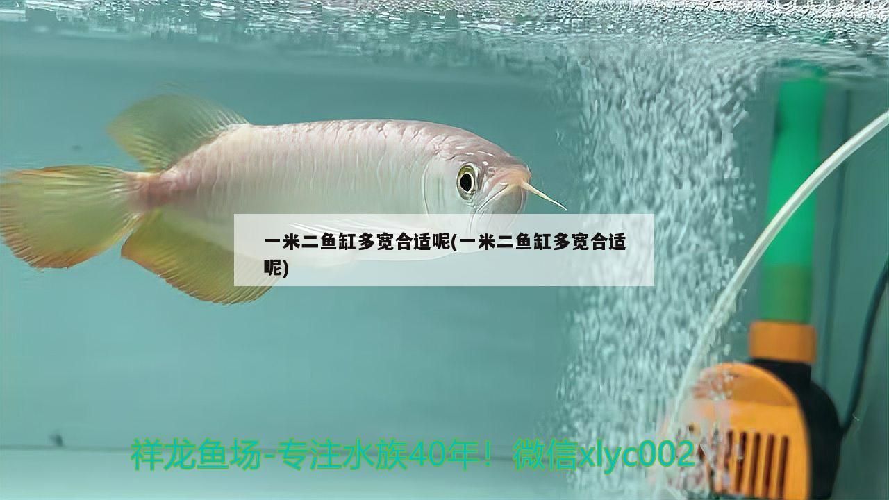 一米二魚缸多寬合適呢(一米二魚缸多寬合適呢)（一米二魚缸多寬合適）