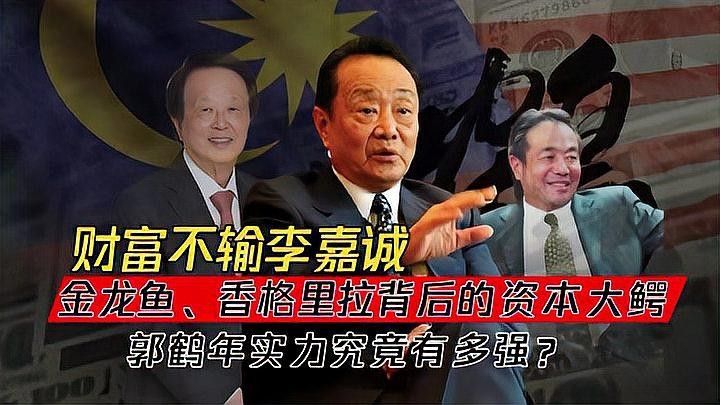 金龍魚最大股東是誰（金龍魚控股十大股東金龍魚控股十大股東是誰）