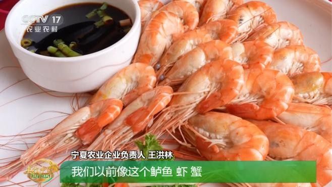 寧夏都有什么魚種（寧夏地區常見的魚類種類大盤點，彩鯽魚中衛鴿子魚超星）