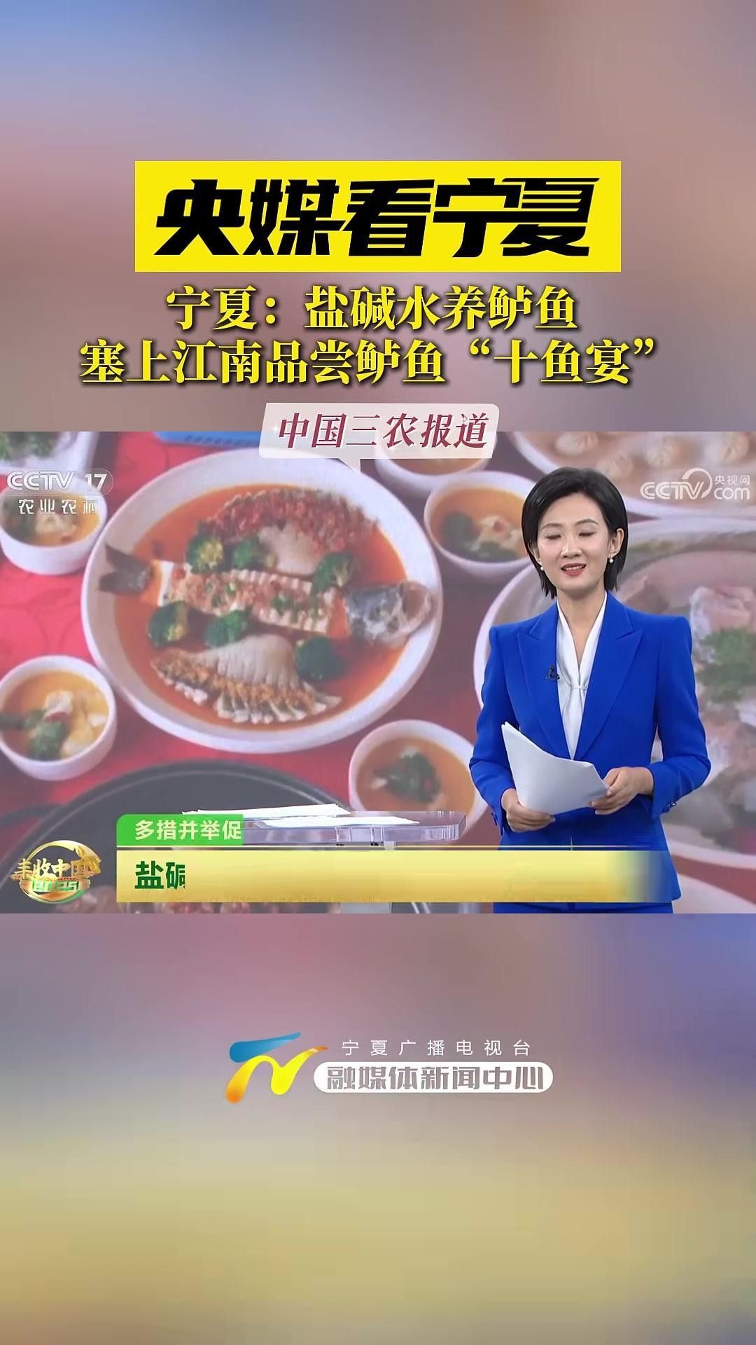 寧夏都有什么魚種（寧夏地區常見的魚類種類大盤點，彩鯽魚中衛鴿子魚超星）