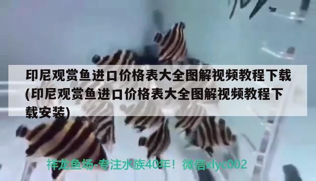 印尼觀賞魚進口價格表大全圖解視頻教程下載(印尼觀賞魚進口價格表大全圖解視頻教程下載安裝)（印尼觀賞魚進口價格表）
